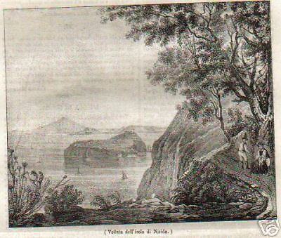 Campania, Nisida, Bella Antica Veduta Dellisola, 800 immagine 1